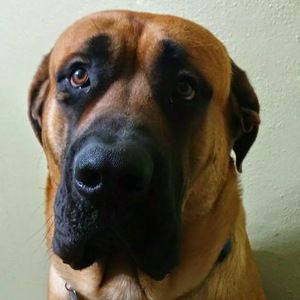 Meet your Posher, Travis